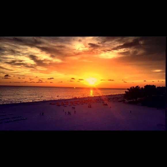 Meet your Posher, Mack - Picture 1 of 1